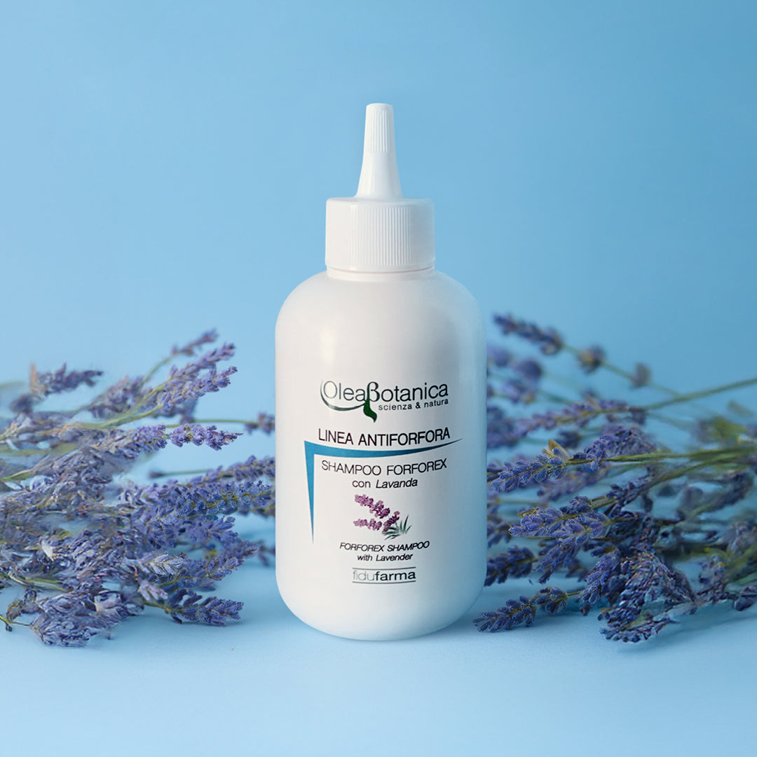 flacone bianco shampoo antiforfora su sfondo azzurro con destra e sinistra rami di lavanda