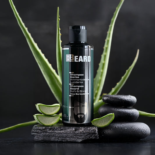 flacone beard di shampoo barba che poggia su dei sassi grigi e dietro aleo vera